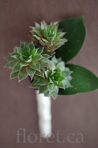 Mini Succulent Boutonniere | Floret.ca