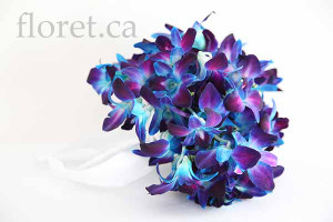 Blue Orchid Wedding Bouquet | Floret.ca